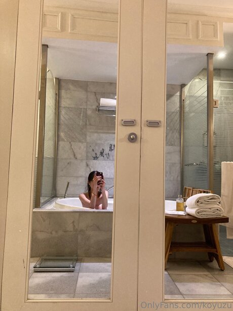 Koyuzu model top image