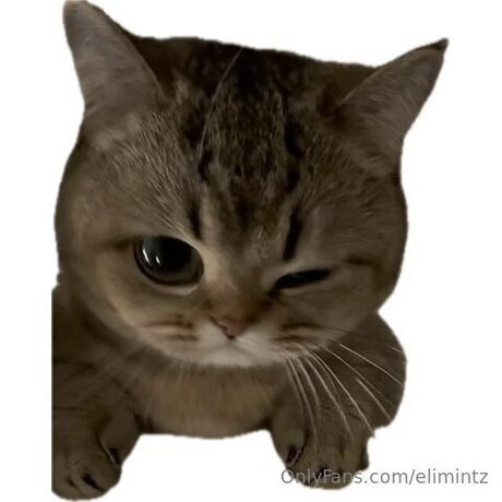 Elimintz high quality actress pic