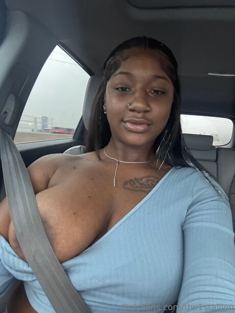 The1stallion best pornstar pictures