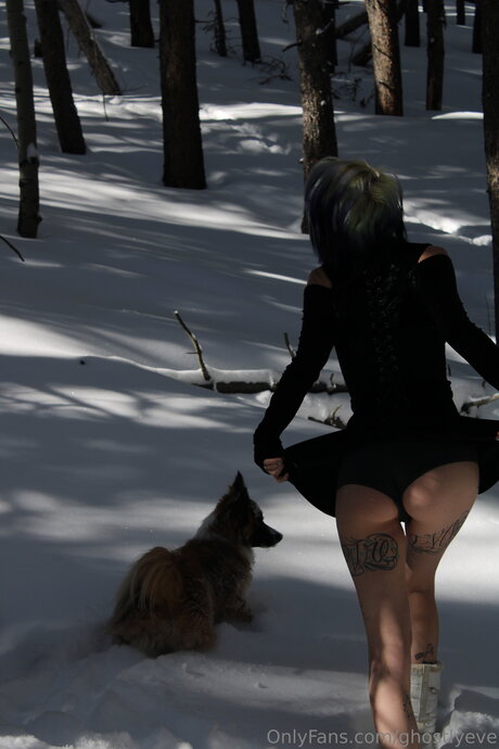 Ghostlyeve star art gallery