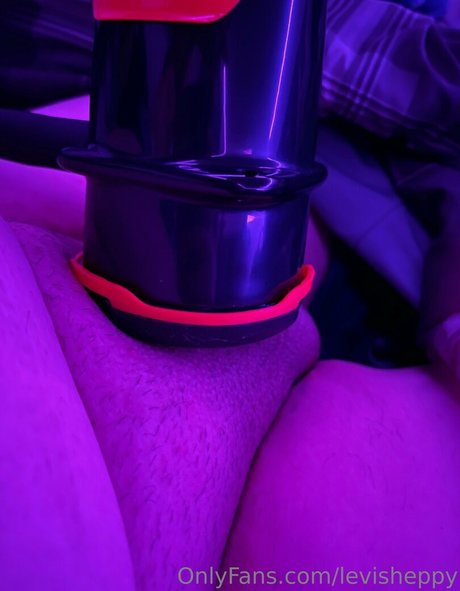 levisheppy star nude pic