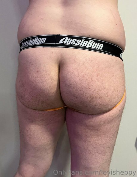 levisheppy model hd pic