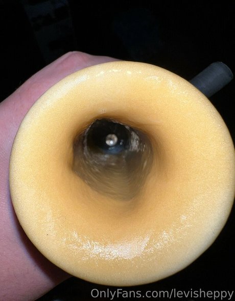 levisheppy Profile pic