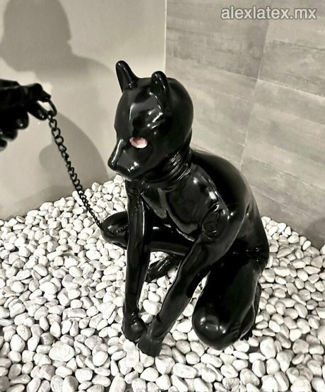 alexlatex mx best pornstar galleries