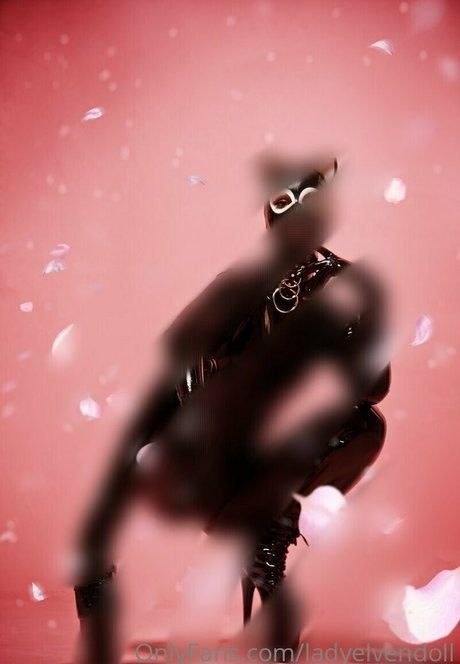 ladyelvendoll Profile pic