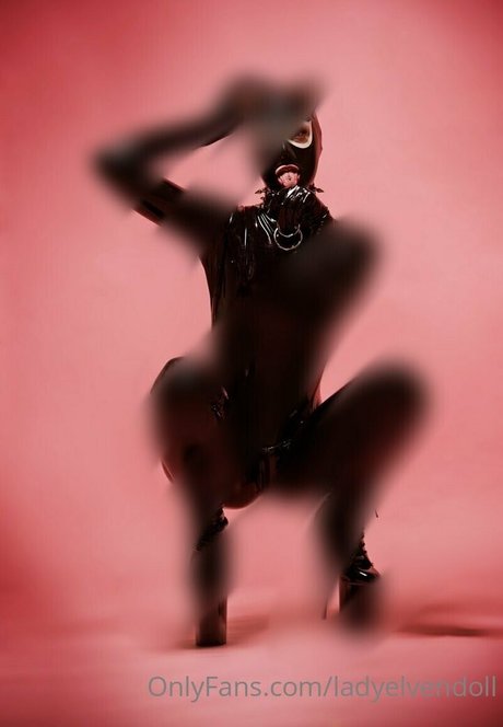 ladyelvendoll star perfect gallery