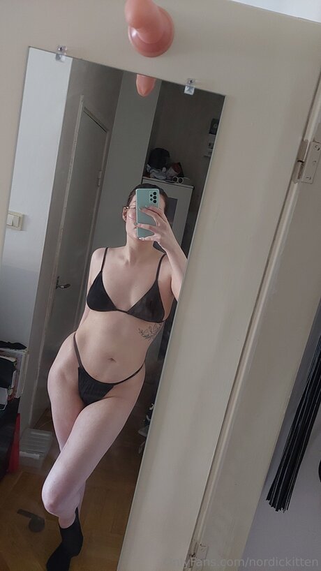 nordickitten Profile pic