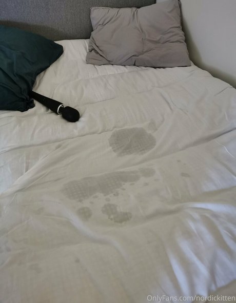 nordickitten pornstar xxx image