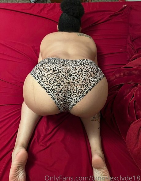 bonniexclyde18 star erotic gallery