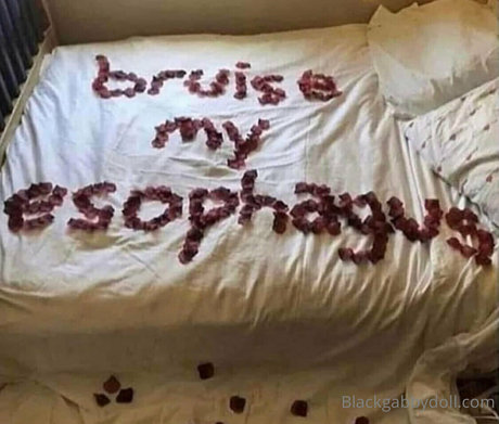 gabbyfox free nice star pic