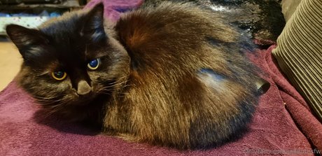 joebutnsfw star naked pictures