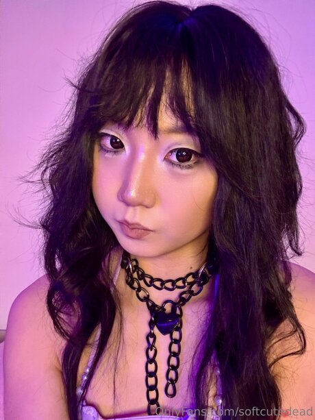 Softcutedead star art photos