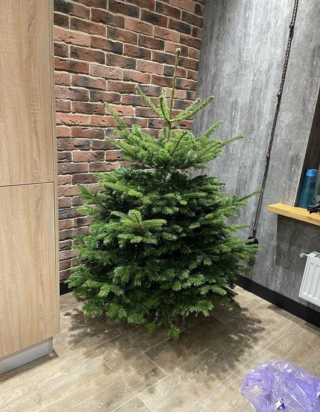 mirniy model perfect picture