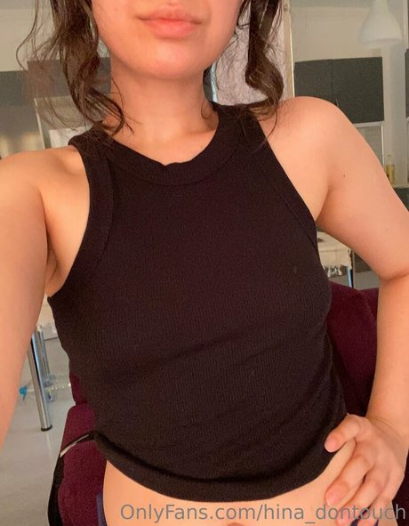 hina dontouch model erotic photo