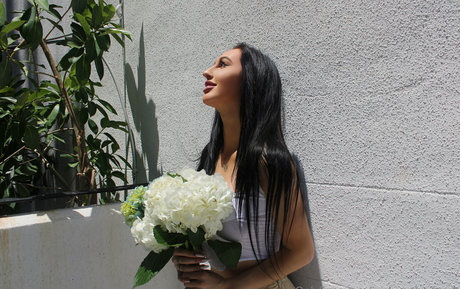 elleventures beautiful star archive