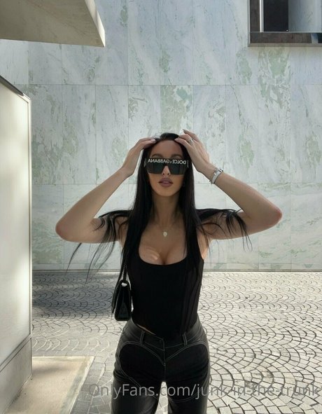 elleventures high quality star picture