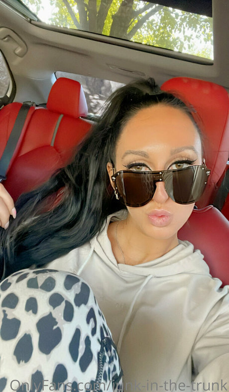 elleventures star image