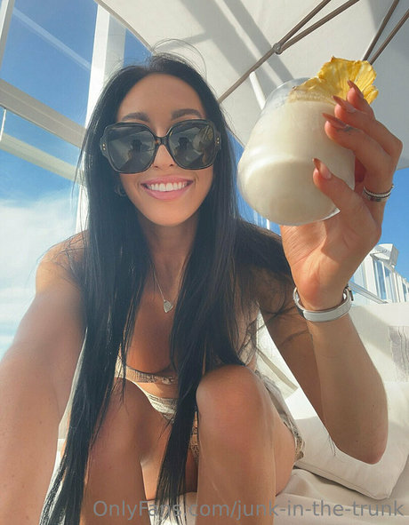 elleventures nice star picture