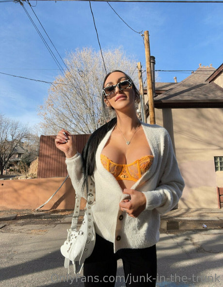 elleventures pornstar adult archive