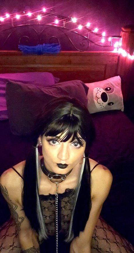 nekogoth23 beautiful star photo