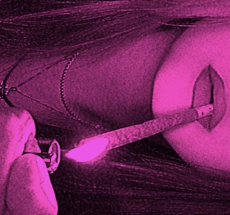 Scoopy pornstar nude galleries