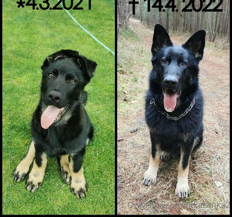 Fitkacenka2 sexy model photos