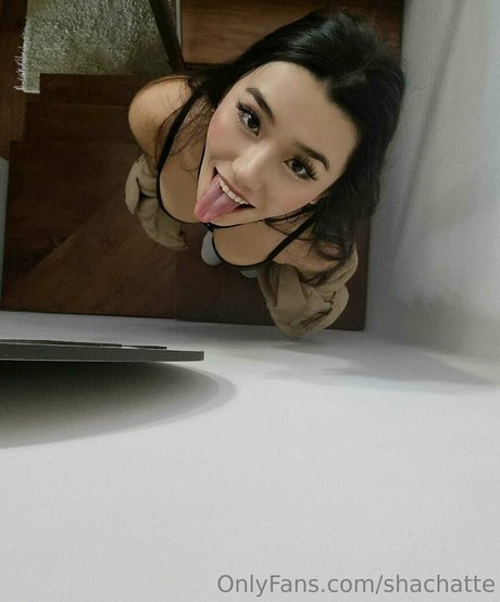 shachatte beautiful pornstar galleries