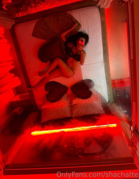 shachatte pornographic star pictures