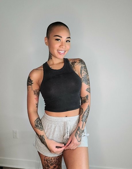 honeygold star art pictures