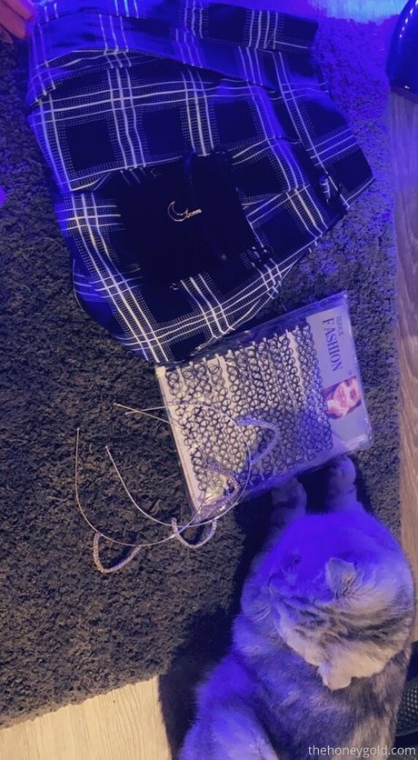 dripping pussy onlyfans perfect galleries