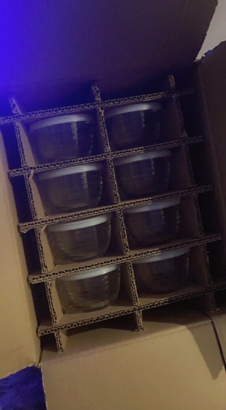 honeygold actress image