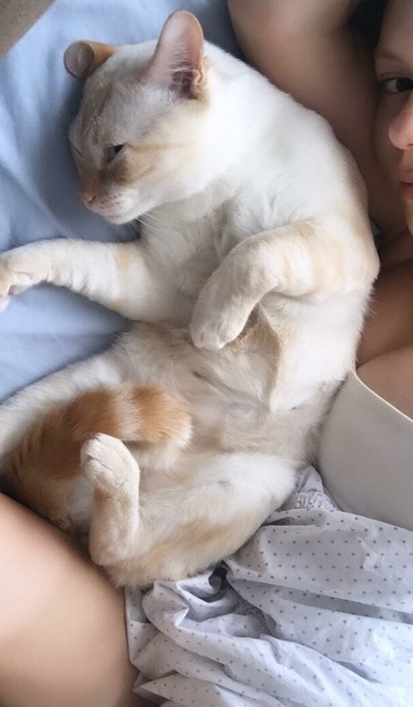 gbrllareis sexy star photos