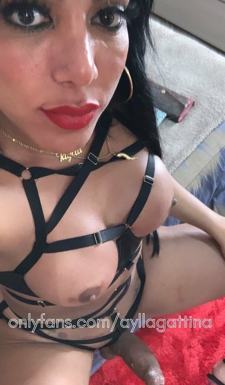 ayllagatina high quality pornstar images