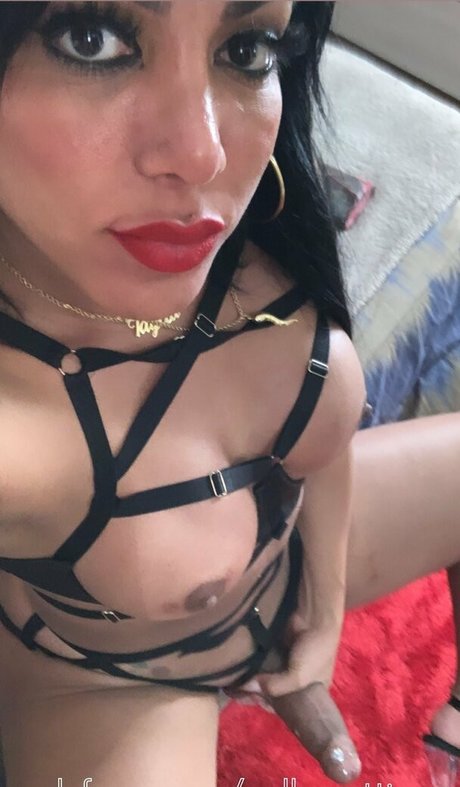 ayllagatina sexy pornstar galleries