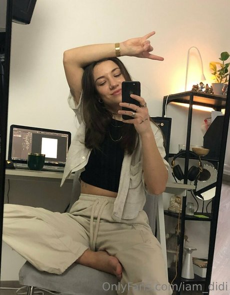 iam didi model top img