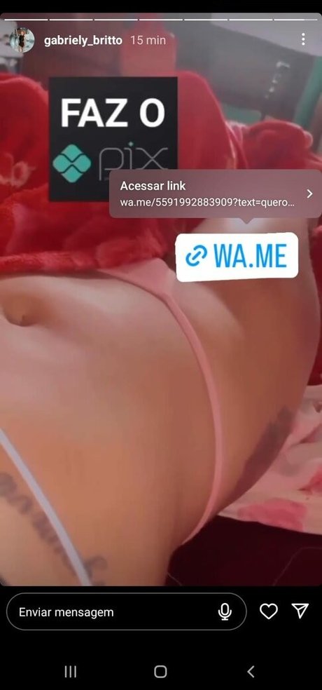 Gabriely Britto top model img