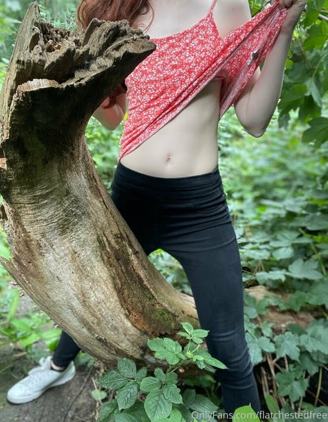 flatchestedfree pornographic star image