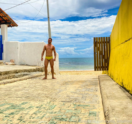 cello leitefree nice model photos