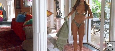 Nikki Cox nice pornstar archive