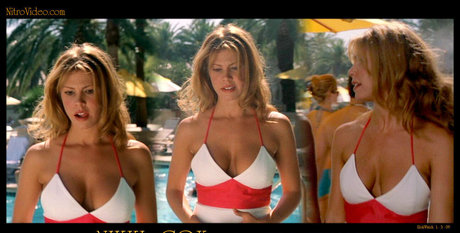 Nikki Cox sexy pornstar img