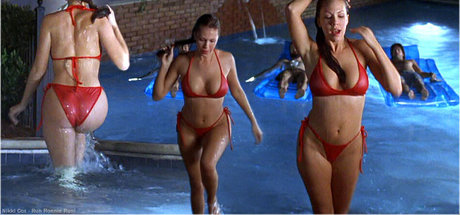 Nikki Cox free pornstar img