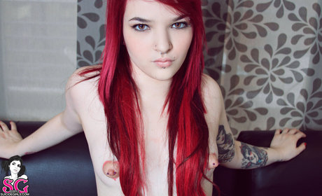 Nina Gato adult actress gallery