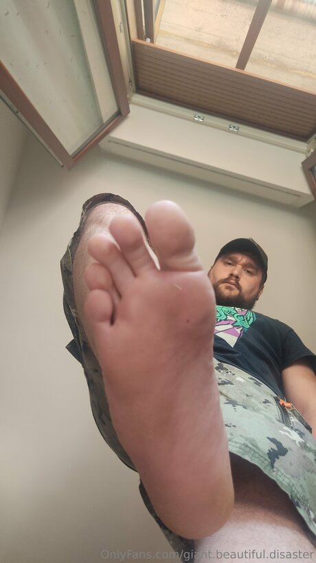 Giant Beautiful Disaster nice model archive