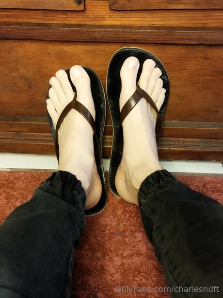 Charlesndft beautiful star gallery