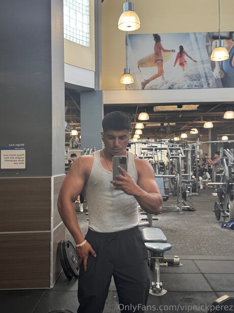 Vipnickperez star nude pics