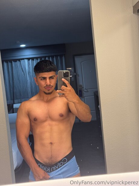 Vipnickperez art model galleries