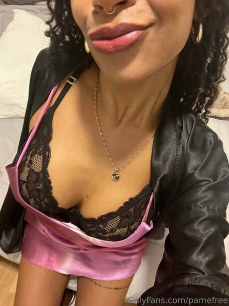 Pamefree pornstar xxx pictures