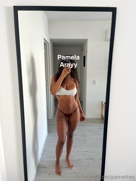 Pamefree pornstar beautiful picture