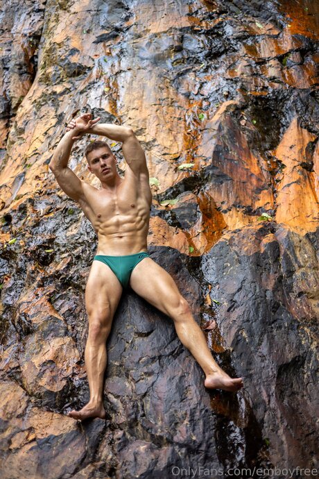 Emboyfree art star images