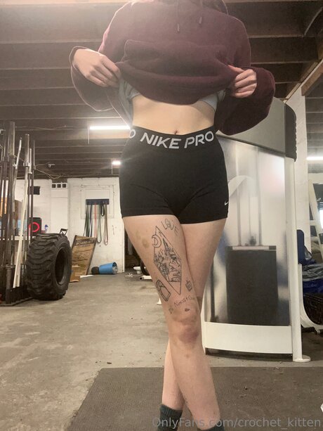 Crochet Kitten star art gallery